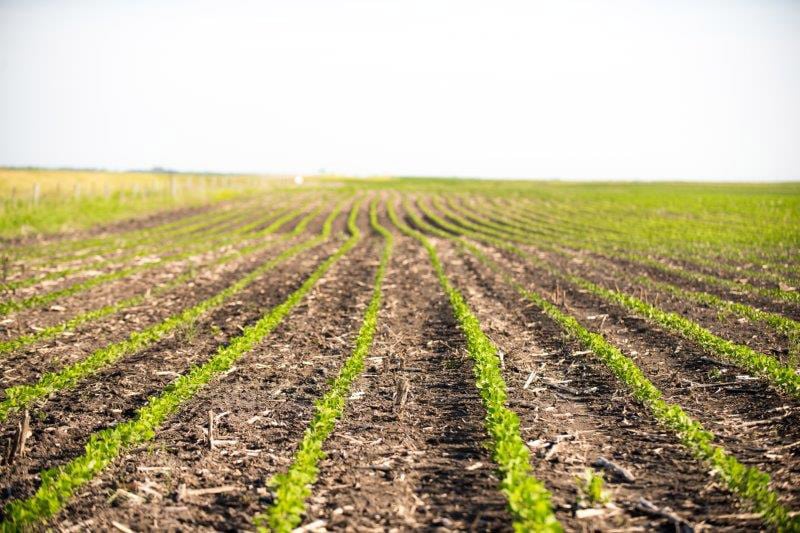 portaltecnoagricola-Mujeres-en-agricultura-04web