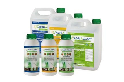 AlgaEnergy participa en el III Congreso sobre Fertilización de ACEFER