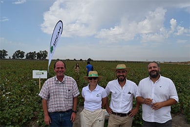 Sipcam Iberia participa en la VI Jornada de Campo Expo Algodón 2019