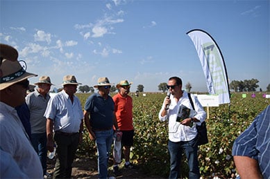 Sipcam Iberia participa en la VI Jornada de Campo Expo Algodón 2019