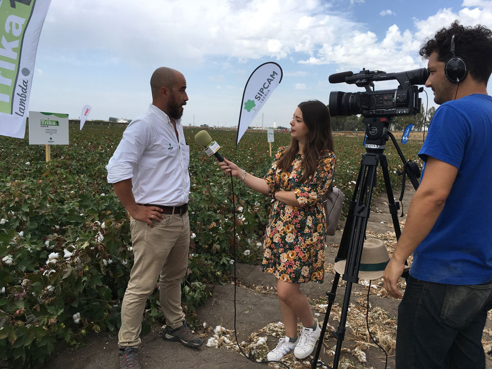 Sipcam Iberia participa en la VI Jornada de Campo Expo Algodón 2019
