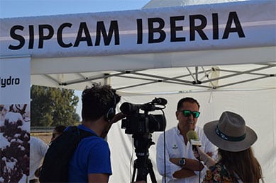 Sipcam Iberia participa en la VI Jornada de Campo Expo Algodón 2019