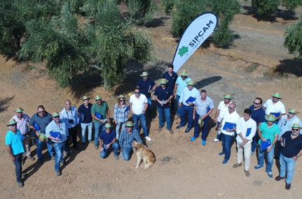 Sipcam Iberia muestra su estrategia de nutrición-bioestimulación y estrategia herbicida en el olivar extremeño