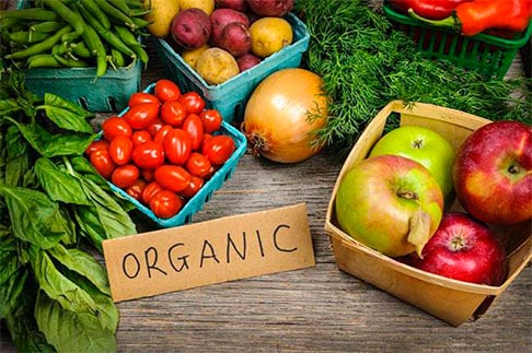 El Parlamento Europeo organiza en Granada un seminario para fomentar la producción y el consumo de productos ecológicos