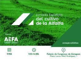 jornada alfalfa zaragoza