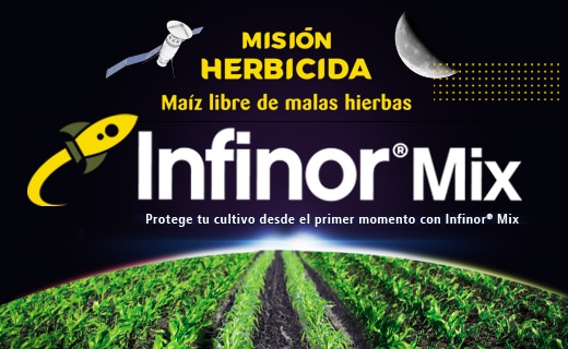 Infinor Mix ofrece un control óptimo contra las malas hierbas en maíz