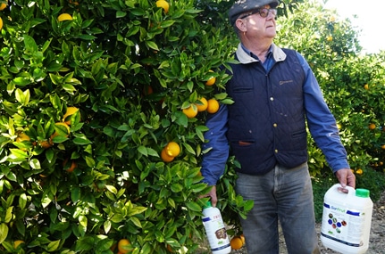 AEVAE recogida de envases