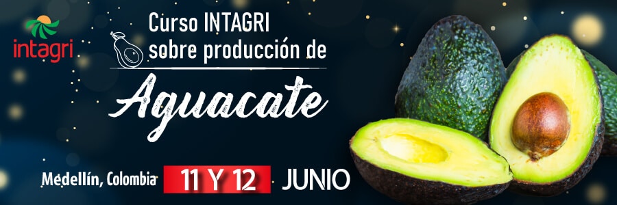 Curso Intagri Aguacate