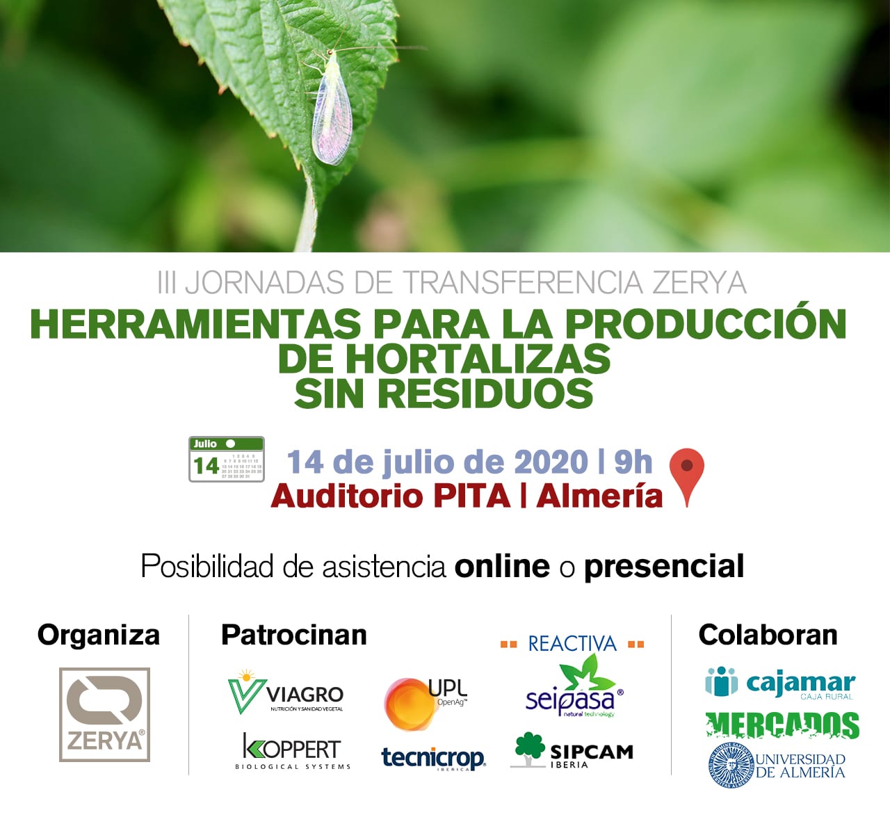 III Jornadas Transferencia Zerya: Herramientas para la producción de hortalizas sin residuos