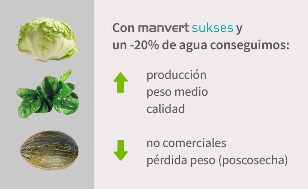 Manvert