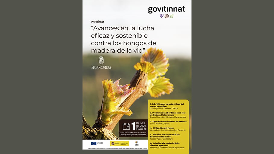 Webinar: Avances en la lucha eficaz y sostenible contra los hongos de madera de la vid