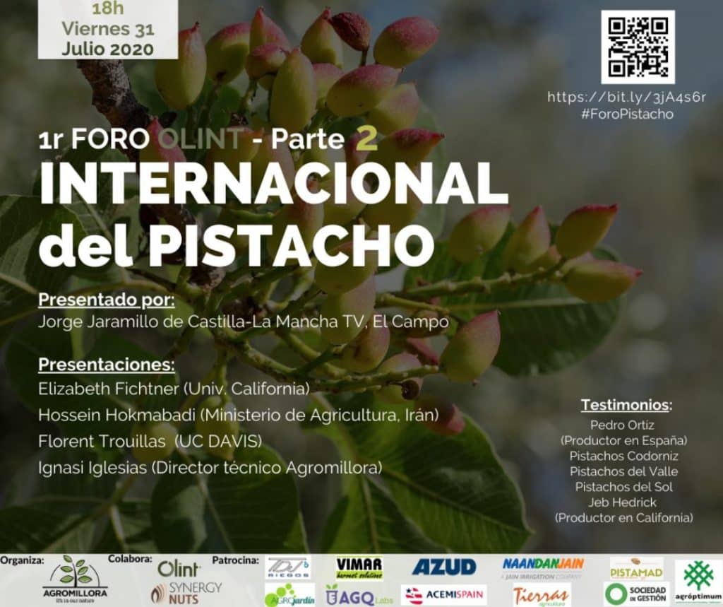 Foro Internacional Pistacho. Parte2