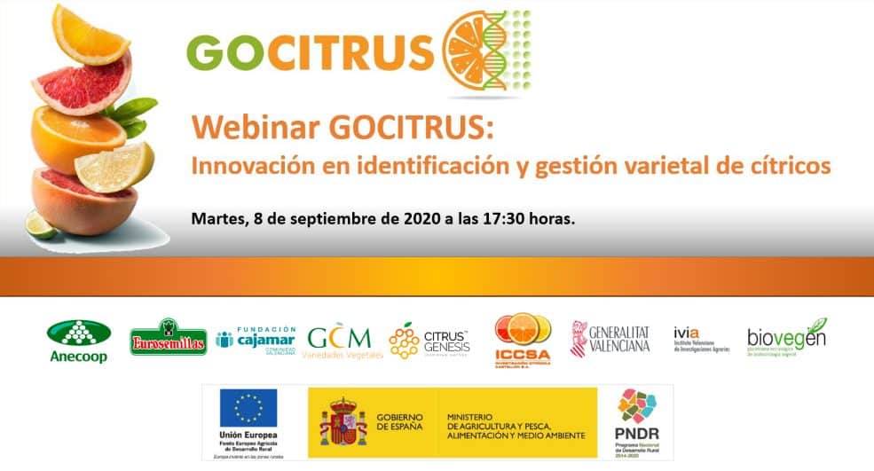 WEBINAR GOCITRUS: Innovación en identificación y gestión varietal de cítricos