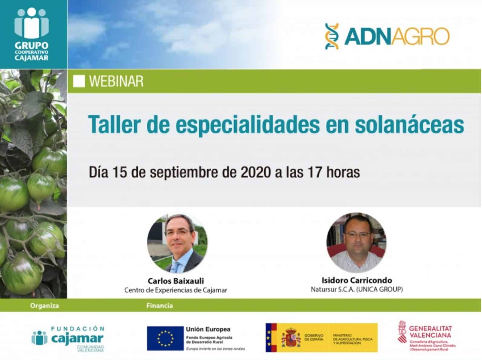 Taller ‘Especialidades en solanáceas’ organizado por ADNAgroFood