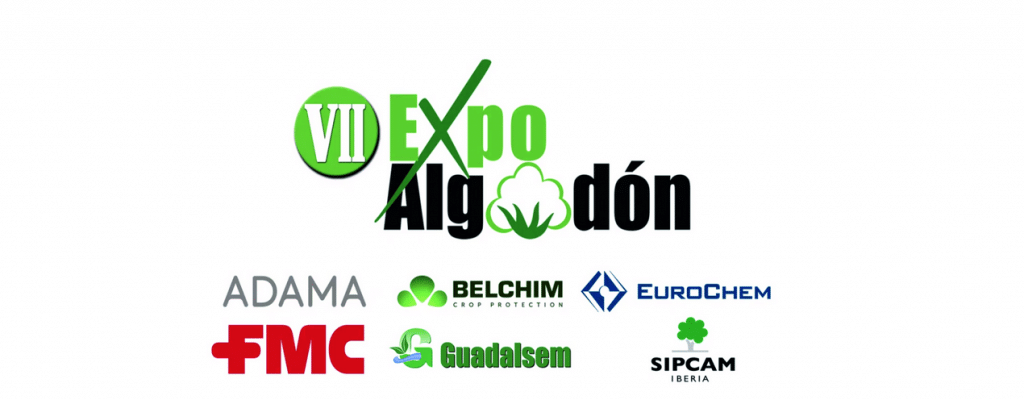 VII Edicion ExpoAlgodon formato online