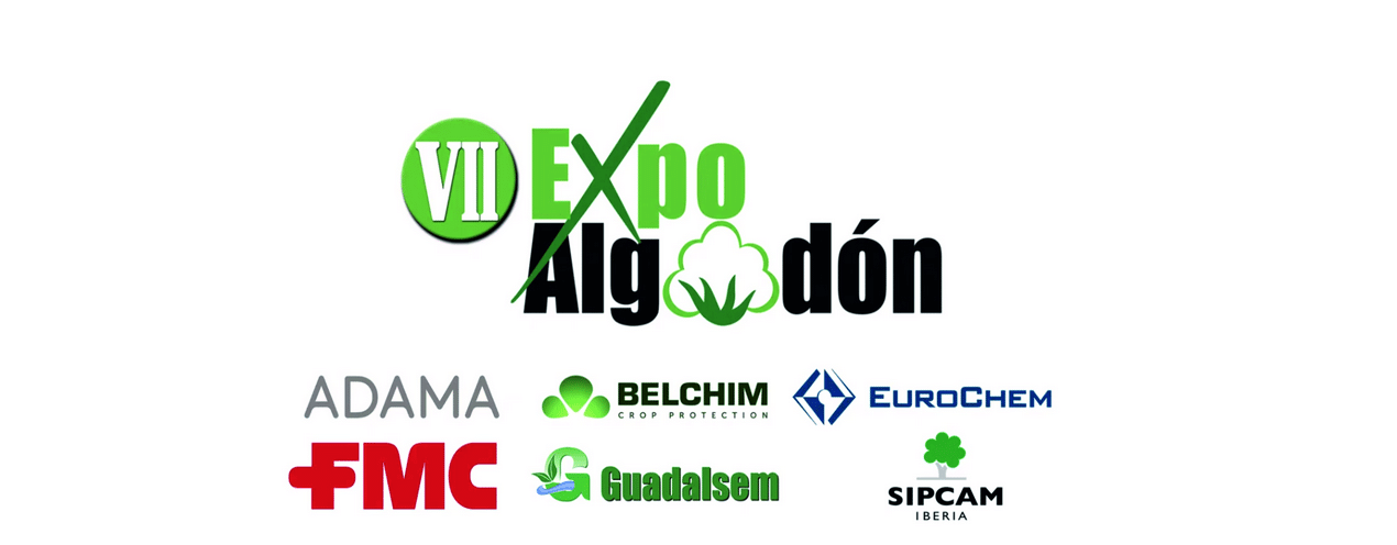 VII Edicion ExpoAlgodon formato online