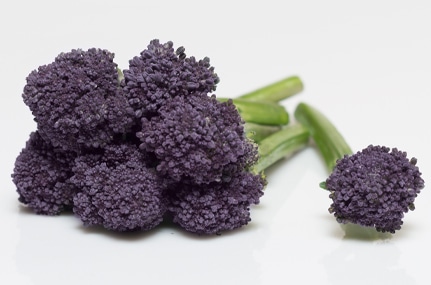 REDI, La apuesta de brotes de Brócoli morados de Bejo