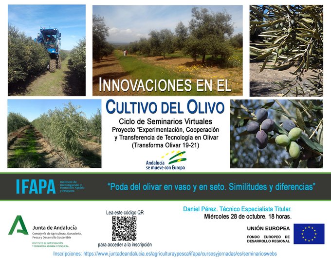 Seminario virtual: Poda del olivar en vaso y en seto