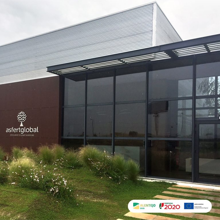 Oficinas de AsfertGlobal