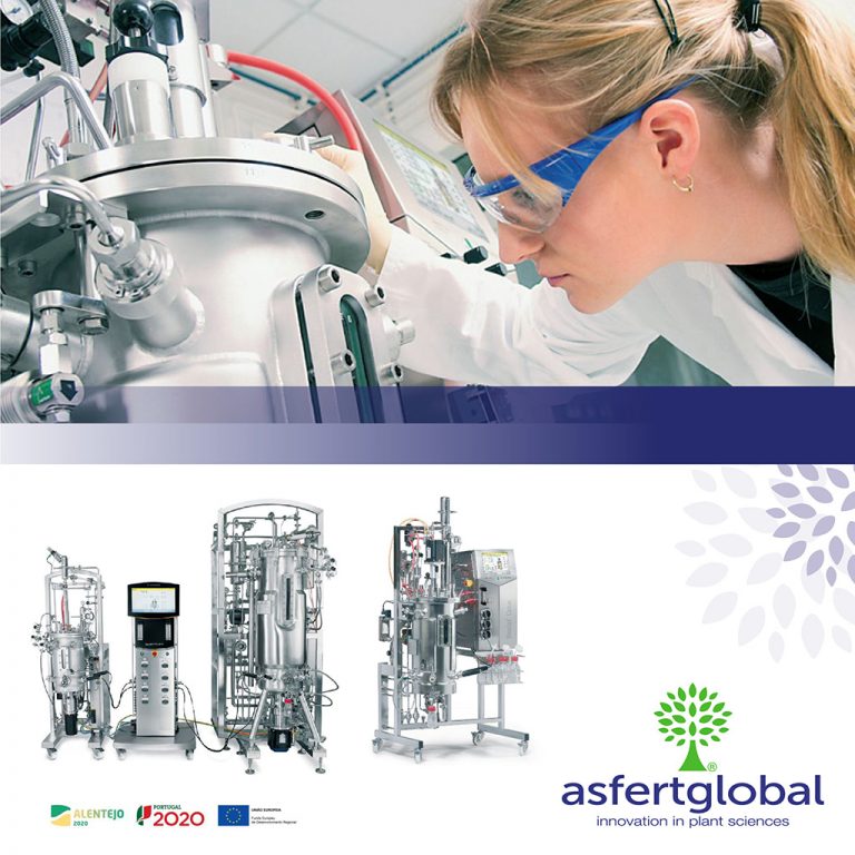 Bioreactores de AsfertGlobal