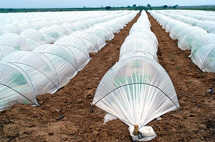 plastillo para tunelillo