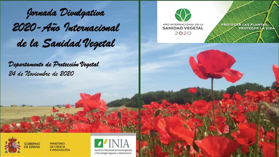 Jornada gratuita online con motivo del Año Internacional de la Sanidad Vegetal 2020