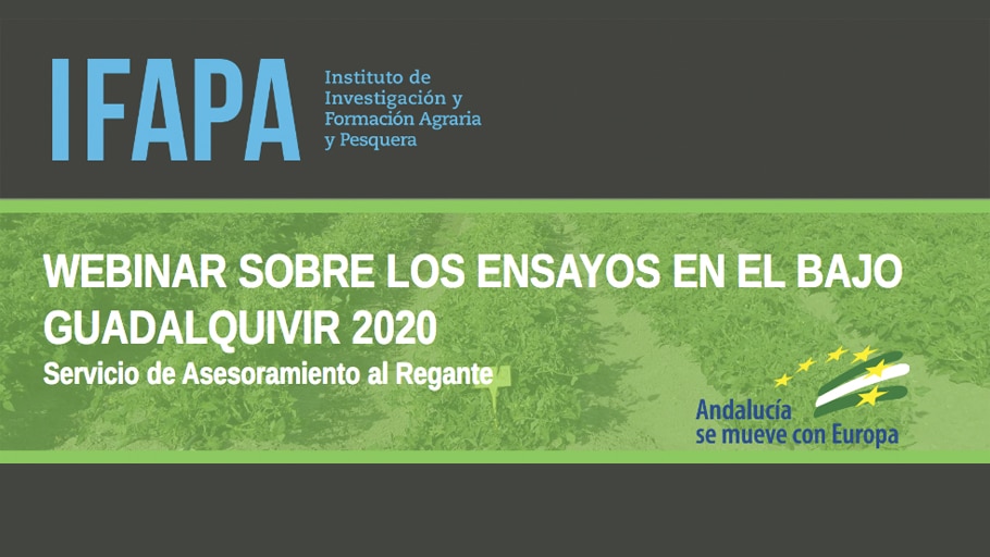 WEBINAR IFAPA SOBRE LOS ENSAYOS EN EL BAJO GUADALQUIVIR 2020