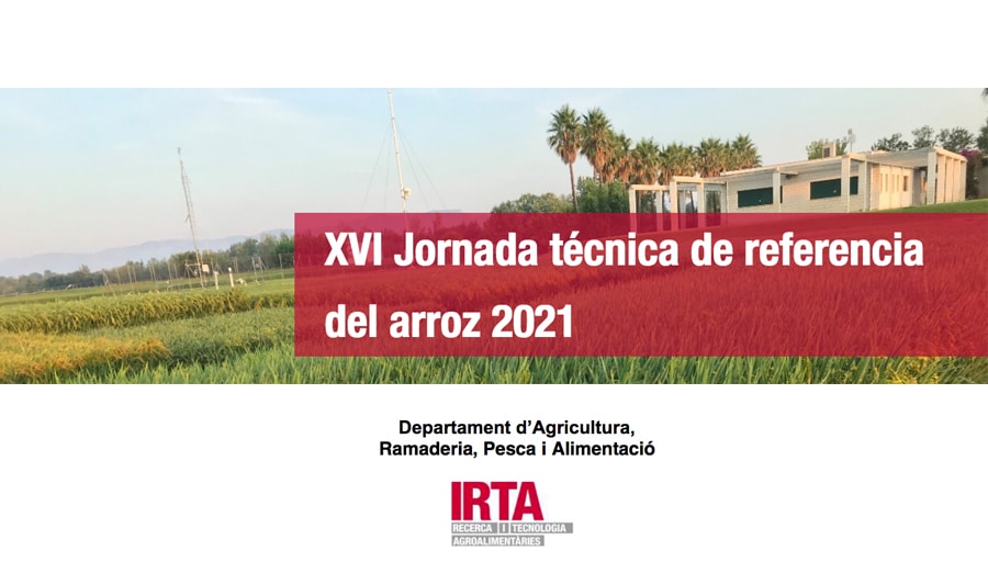 XVI Jornada técnica del arroz del IRTA
