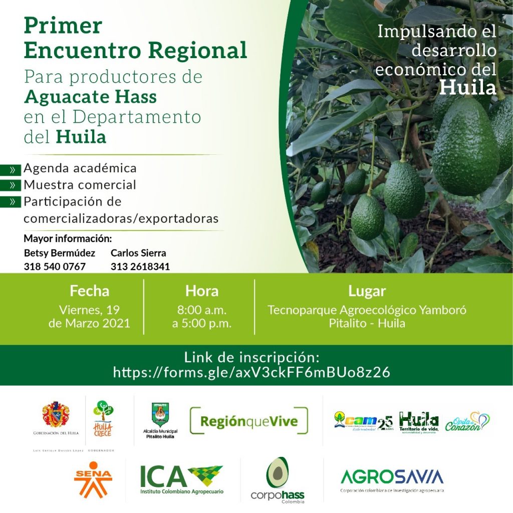 Primer encuentro regional para productores de Aguacate Hass en el Departamento del Huila