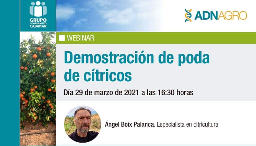 Taller ‘Demostración de poda de cítricos’, organizado por el Grupo Cooperativo Cajamar