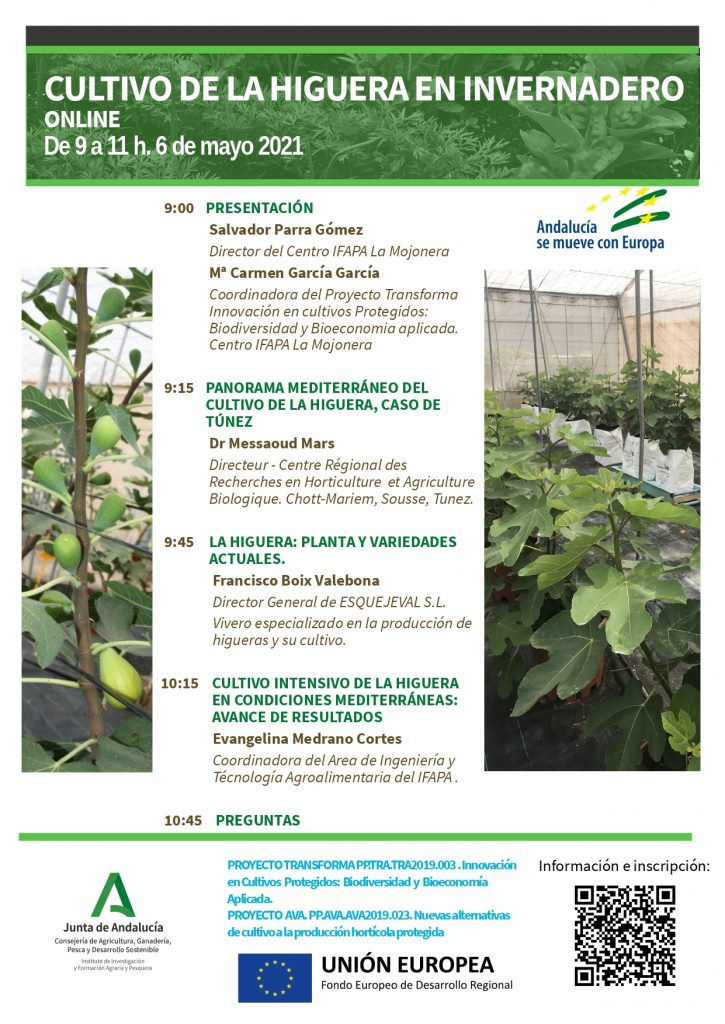 Seminario IFAPA: Cultivo de la Higuera en Invernadero