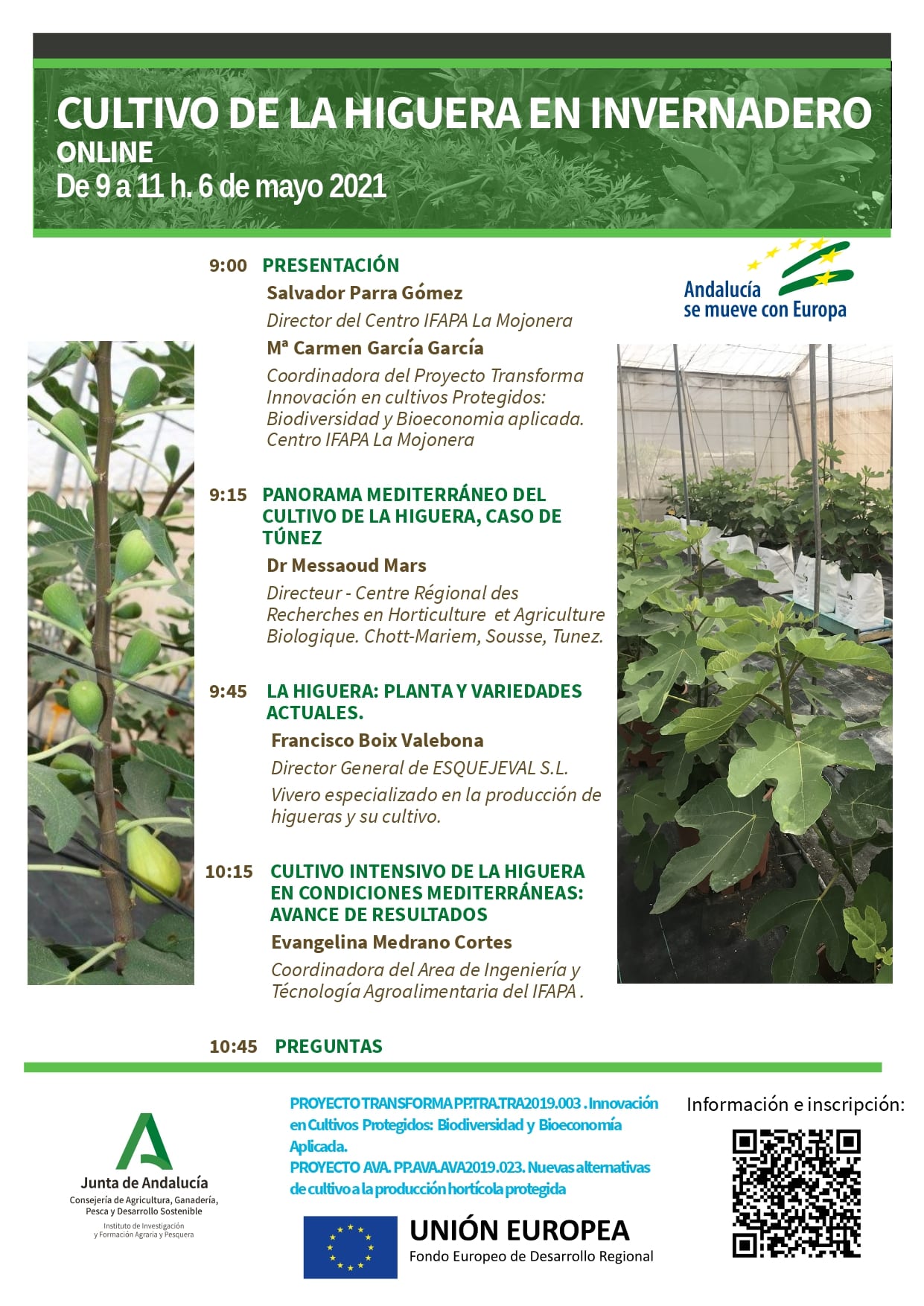 Seminario IFAPA: Cultivo de la Higuera en Invernadero