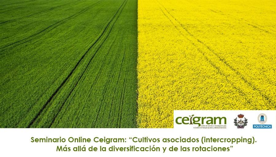 seminario “Cultivos asociados (intercropping). Más allá de la diversificación y de las rotaciones”