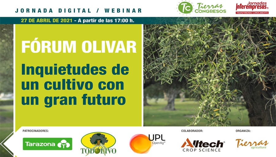 Forum Olivar 2021: Inquietudes de un cultivo con un gran futuro