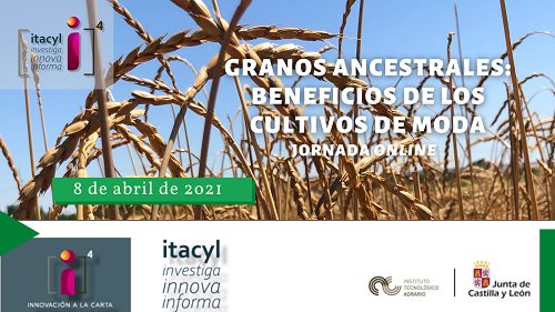 JORNADA: GRANOS ANCESTRALES, BENEFICIOS DE LOS CULTIVOS DE MODA