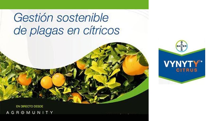 Bayer organiza un webinar para presentar Vynyty Citrus
