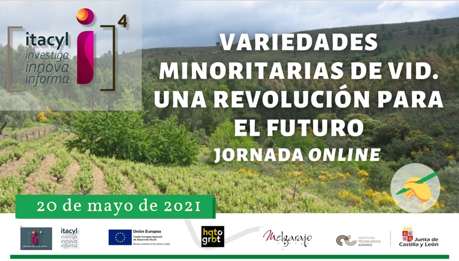 Jornada Online ITACyL Variedades Minoritarias de Vid. Una revolución para el futuro