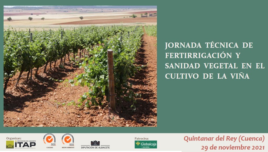 Jornada técnica ITAP: Fertirrigación y sanidad vegetal en el cultivo de la viña