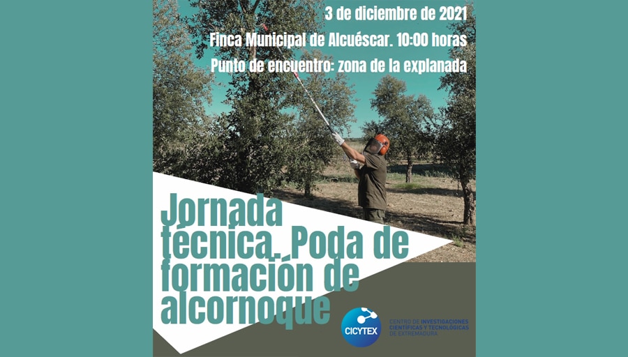 Jornada técnica. Poda de formación de alcornoque.