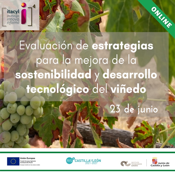 Jornada online ITACyL: Sostenibilidad y desarrollo tecnológico del viñedo