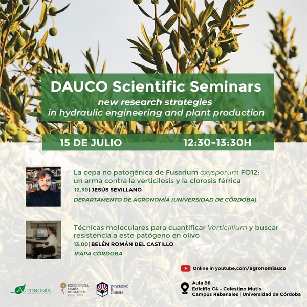 seminario sobre técnicas para luchar contra la verticilosis del olivar