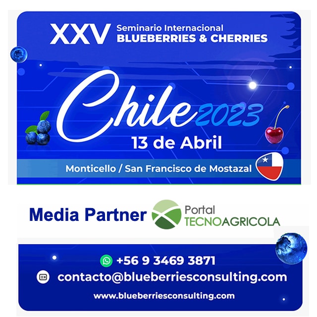 XXV Seminario Internacional Blueberries Chile 2023