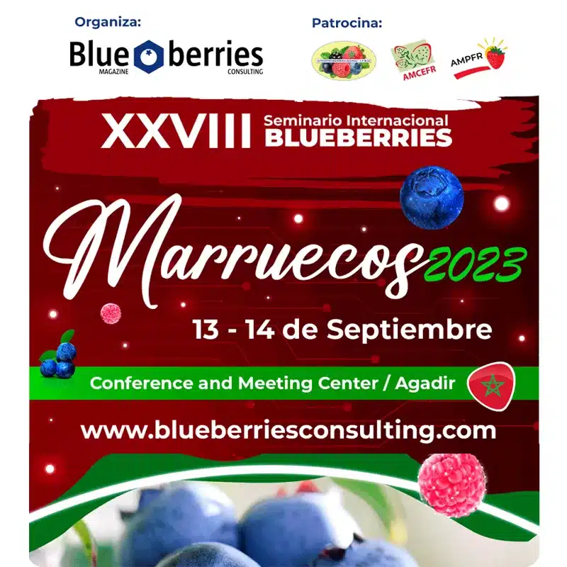 XXVIII Seminario Internacional Blueberries Marruecos 2023