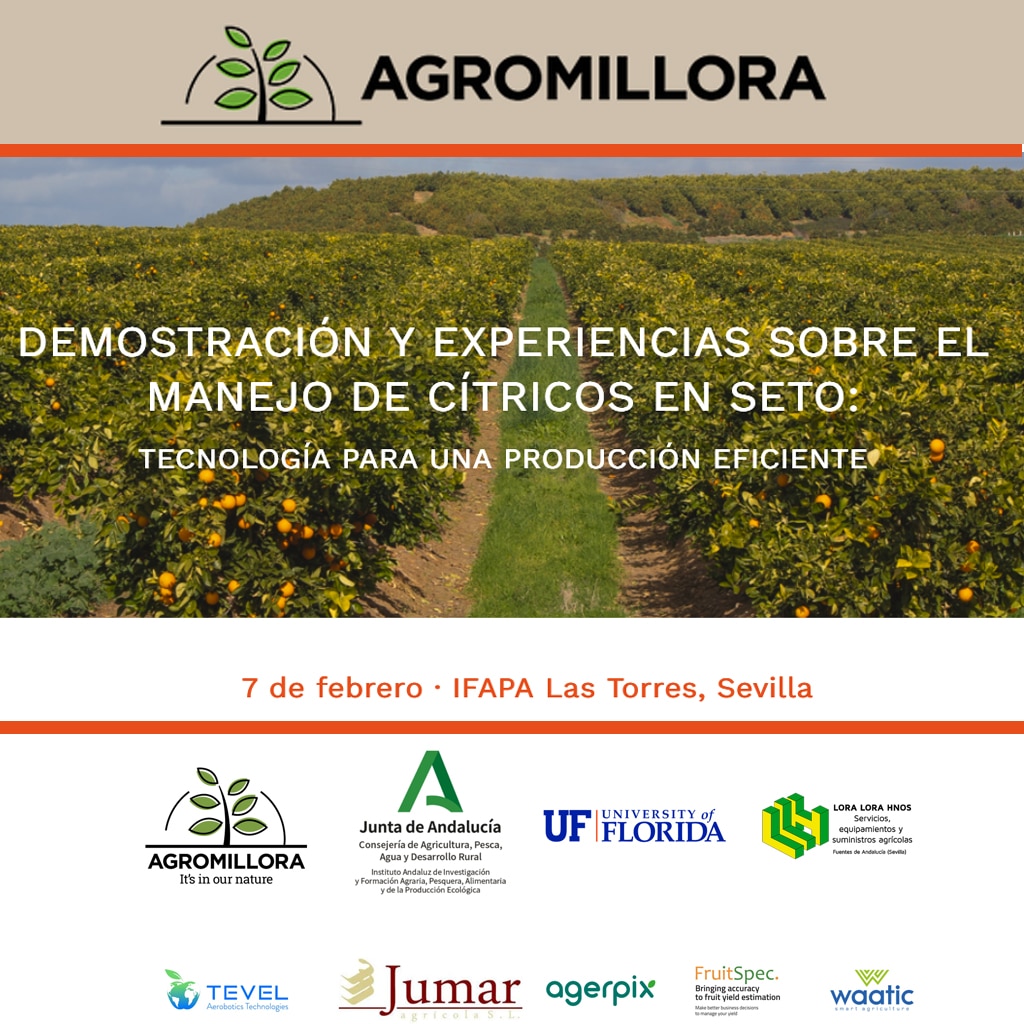 Demostración y experiencias sobre el manejo de cítricos en seto: Tecnología para una producción eficiente