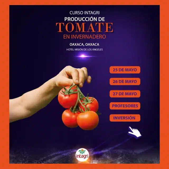 Curso Intagri sobre Producción de Tomate