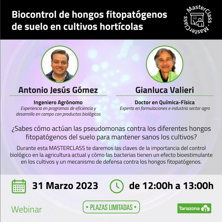 Webinar Antonio Tarazona: Biocontrol de hongos fitopatógenos de suelo en cultivos hortícolas