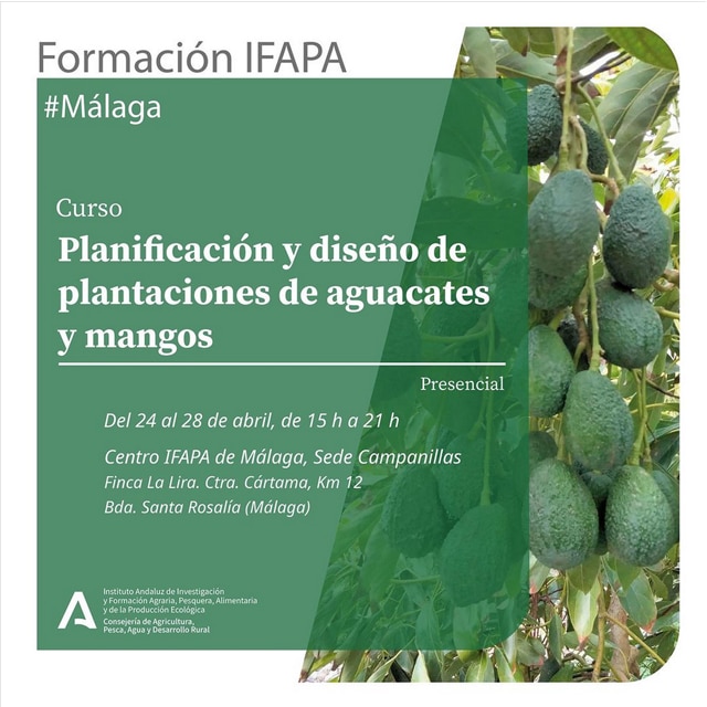 Curso IFAPA: PLANIFICACIÓN Y DISEÑO DE PLANTACIONES DE AGUACATE Y MANGOS