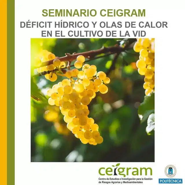 Seminario CEIGRAM: «Déficit hídrico y olas de calor en el cultivo de la Vid»