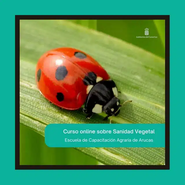 Curso Sanidad vegetal (online) organizado por la Escuela de Capacitación Agraria de Arucas