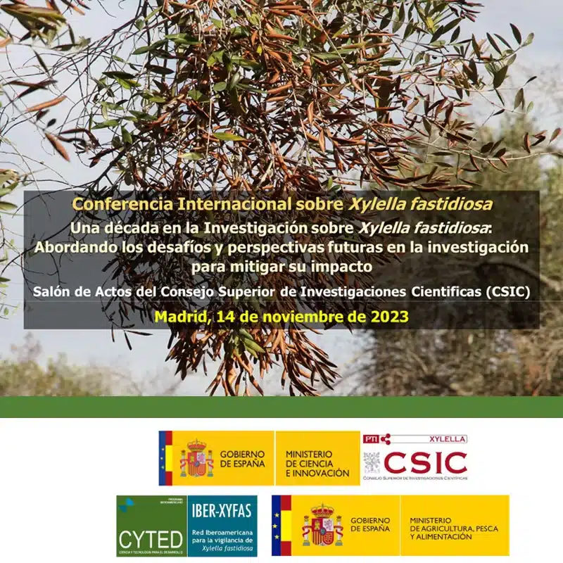 Conferencia Internacional sobre Xylella fastidiosa